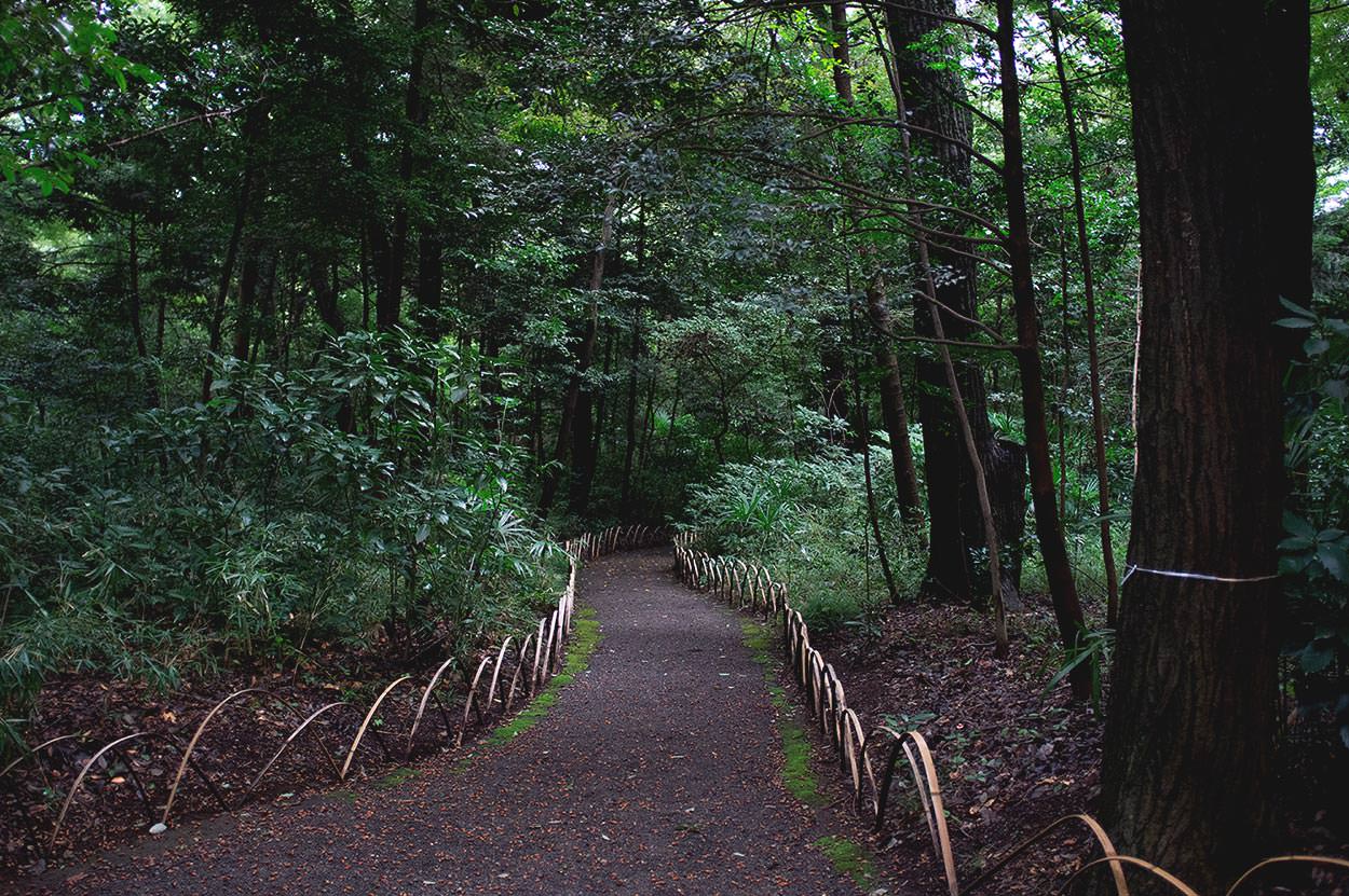 Photo taken as part of the blog 15 Days in Japan by Nuno Coelho Santos