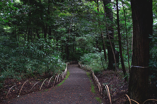 Photo taken as part of the blog 15 Days in Japan by Nuno Coelho Santos