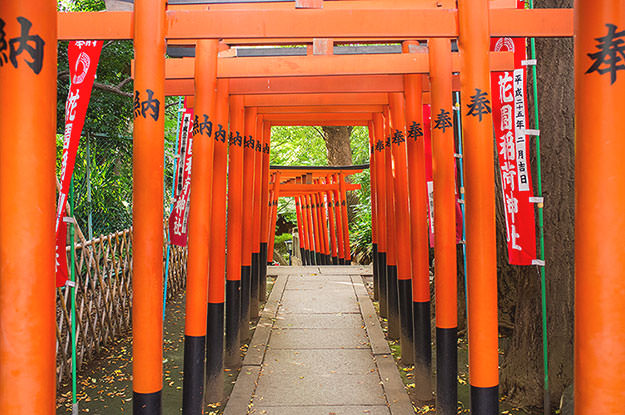 Photo taken as part of the blog 15 Days in Japan by Nuno Coelho Santos