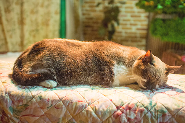 Photo taken as part of the blog 15 Days in Japan by Nuno Coelho Santos