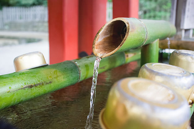 Photo taken as part of the blog 15 Days in Japan by Nuno Coelho Santos