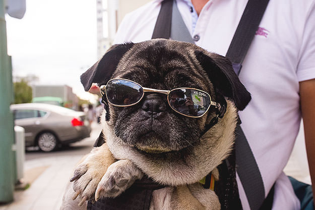 Photo taken as part of the blog 15 Days in Japan by Nuno Coelho Santos