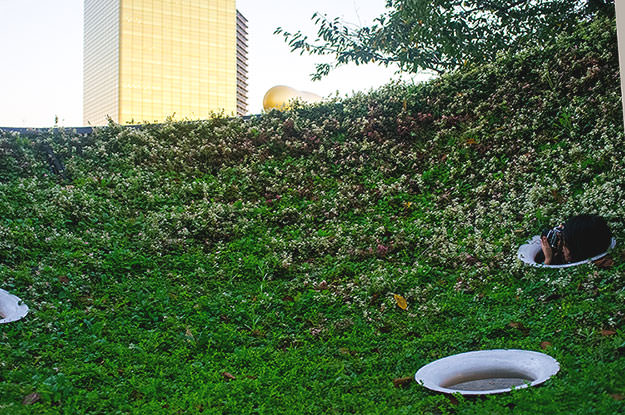 Photo taken as part of the blog 15 Days in Japan by Nuno Coelho Santos