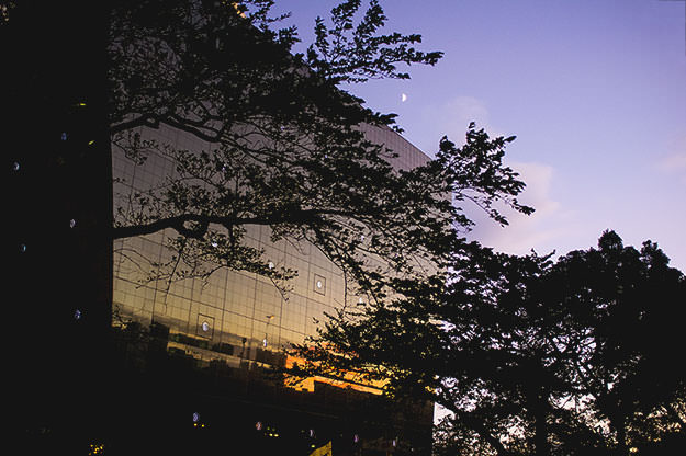 Photo taken as part of the blog 15 Days in Japan by Nuno Coelho Santos