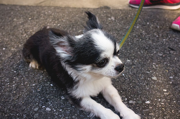 Photo taken as part of the blog 15 Days in Japan by Nuno Coelho Santos