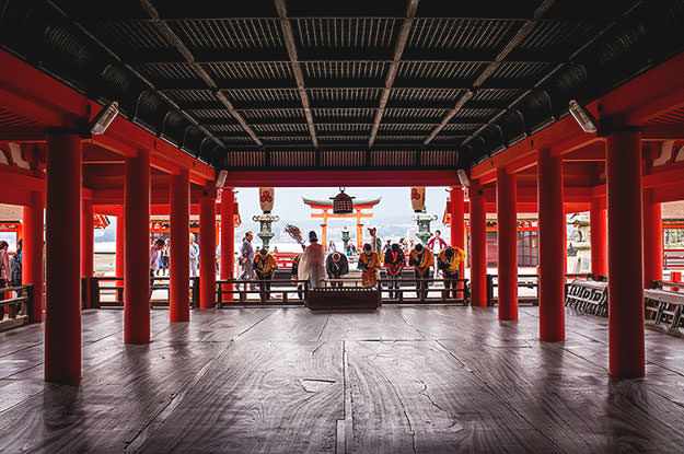 Photo taken as part of the blog 15 Days in Japan by Nuno Coelho Santos