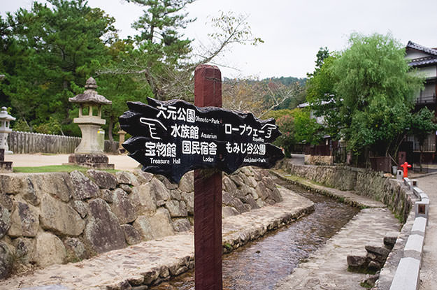 Photo taken as part of the blog 15 Days in Japan by Nuno Coelho Santos