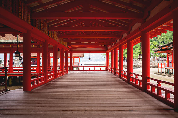 Photo taken as part of the blog 15 Days in Japan by Nuno Coelho Santos