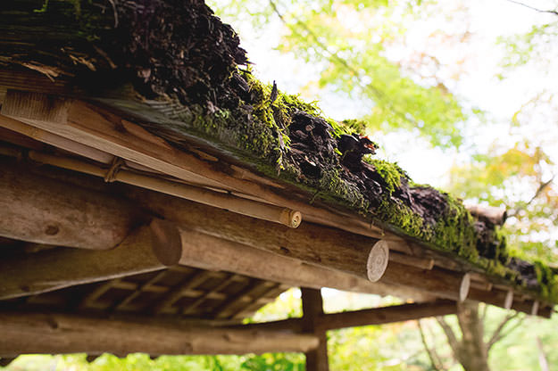 Photo taken as part of the blog 15 Days in Japan by Nuno Coelho Santos