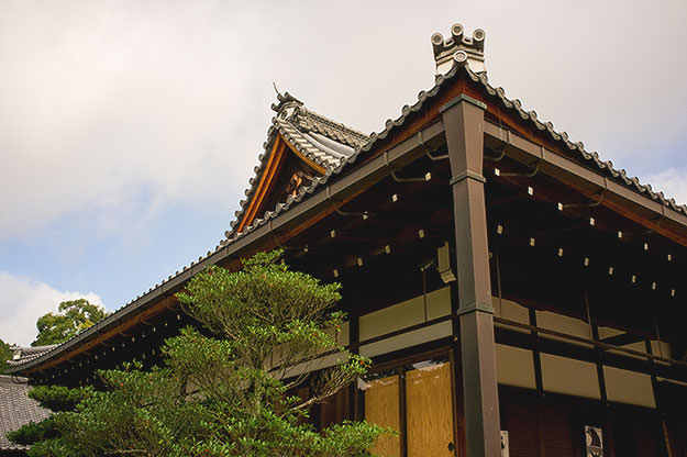 Photo taken as part of the blog 15 Days in Japan by Nuno Coelho Santos