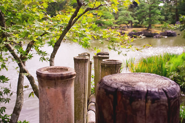 Photo taken as part of the blog 15 Days in Japan by Nuno Coelho Santos