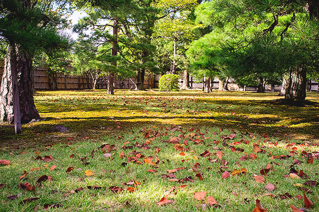 Photo taken as part of the blog 15 Days in Japan by Nuno Coelho Santos
