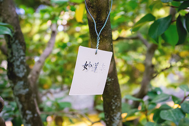 Photo taken as part of the blog 15 Days in Japan by Nuno Coelho Santos